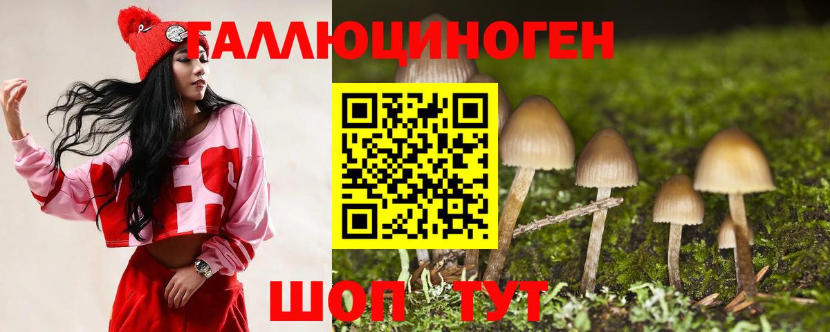 Псилоцибиновые грибы прущие грибы  Вход с VPN  Добрянка 